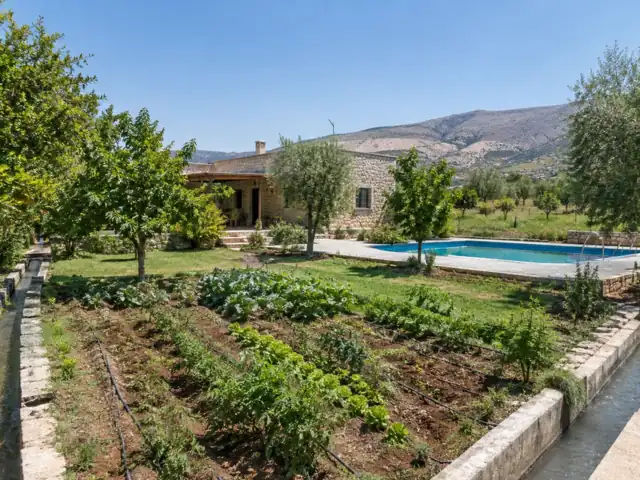 مزرعة مثمرة في الصبورة